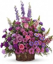 Gracious Lavendar