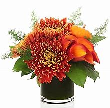 Teleflora&#039;s Autumn Sunset