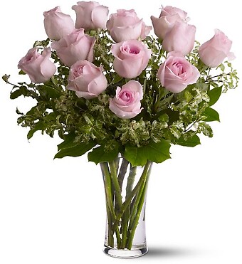 A Dozen Pink Roses