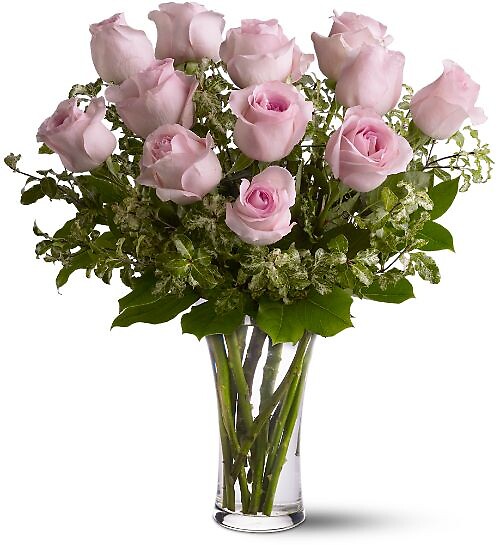 A Dozen Pink Roses