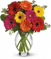 Charming Gerberas